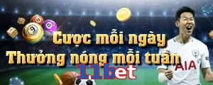 11bet